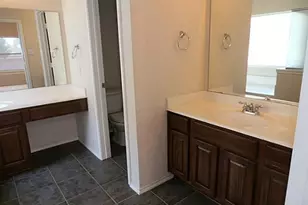 9841 Wild Ginger Dr, McKinney, TX 75072 - Photo 6