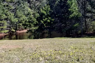 435 Fm 2064 N, Jacksonville, TX 75766 - Photo 6