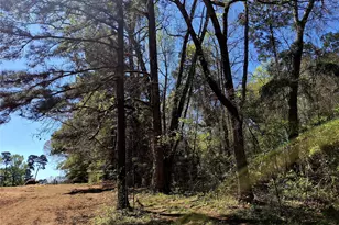 435 Fm 2064 N, Jacksonville, TX 75766 - Photo 12