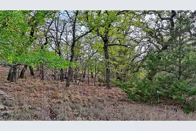 Tbd Horizon Ridge Ct Street, Sunset, TX 76270 - Photo 16