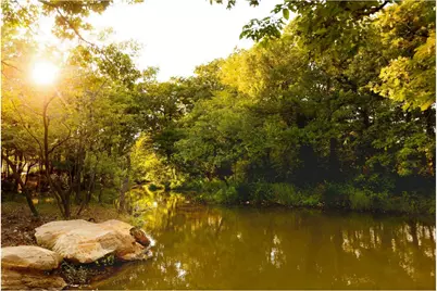 4311 Windy Point Road, Oak Point, TX 75068 - Photo 36