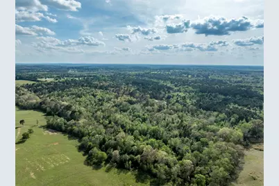 0 White Tail Road, Gilmer, TX 75644 - Photo 6