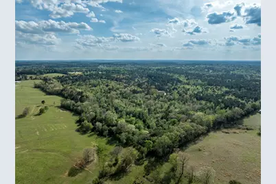 0 White Tail Road, Gilmer, TX 75644 - Photo 8