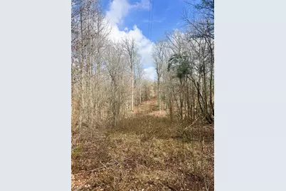 000 Private Road 8000, Winnsboro, TX 75494 - Photo 10