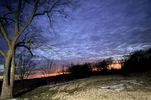 440 FM 44, Annona, TX 75550 - Photo 22