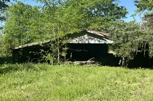 440 FM 44, Annona, TX 75550 - Photo 4