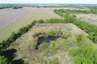 440 FM 44, Annona, TX 75550 - Photo 16
