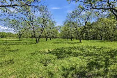 12011 Paradise Boulevard, Bluff Dale, TX 76433 - Photo 8