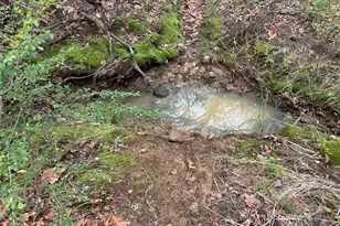 2112 Peterson, Denison, TX 75020 - Photo 2