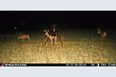 6929 Fm 1806, Nocona, TX 76255 - Photo 36