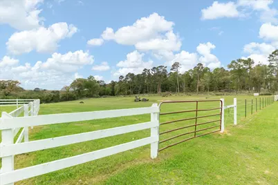 10100 Fm   1650, Gilmer, TX 75645 - Photo 34