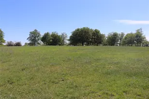 798 Co Rd 189, Carbon, TX 76435 - Photo 8