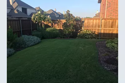 13858 Hot Springs Lane, Frisco, TX 75035 - Photo 34