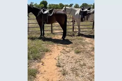 6665 Cr 132 #TRACT 5, Stephenville, TX 76401 - Photo 10