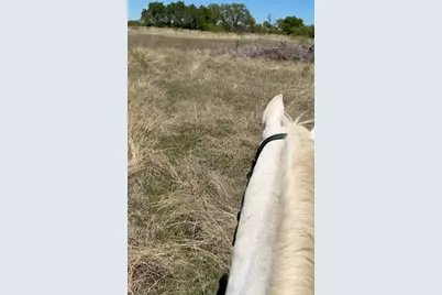 6665 Cr 132 #TRACT 5, Stephenville, TX 76401 - Photo 4
