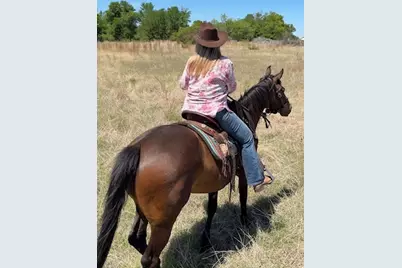 6665 Cr 132 #TRACT 5, Stephenville, TX 76401 - Photo 1