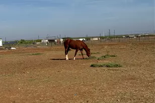 4435 Hayter Rd, Abilene, TX 79601 - Photo 24