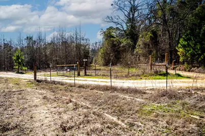 1462 Mole Road, Winnsboro, TX 75494 - Photo 34