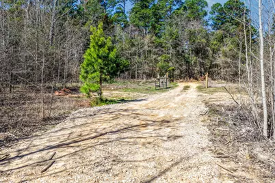 1462 Mole Road, Winnsboro, TX 75494 - Photo 18
