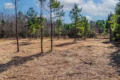 1462 Mole Road, Winnsboro, TX 75494 - Photo 14