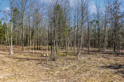 1462 Mole Road, Winnsboro, TX 75494 - Photo 16