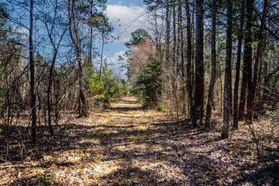 1462 Mole Road, Winnsboro, TX 75494 - Photo 32