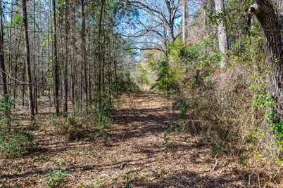1462 Mole Road, Winnsboro, TX 75494 - Photo 24