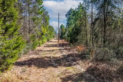 1462 Mole Road, Winnsboro, TX 75494 - Photo 22