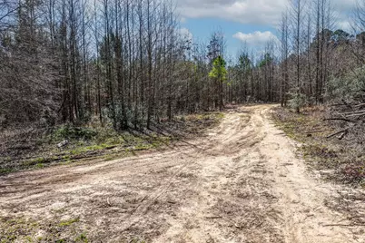 1462 Mole Road, Winnsboro, TX 75494 - Photo 12