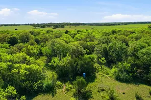 1602 Co Rd 309, Eastland, TX 76448 - Photo 36