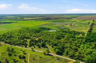 1602 Co Rd 309, Eastland, TX 76448 - Photo 38