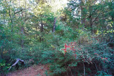 5 Acres Fcr 930, Teague, TX 75860 - Photo 8