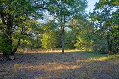 5 Acres Fcr 930, Teague, TX 75860 - Photo 4