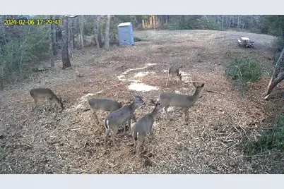 Tbd I-45, Teague, TX 75860 - Photo 8