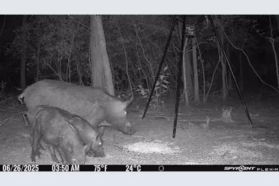 Tbd I-45, Teague, TX 75860 - Photo 6