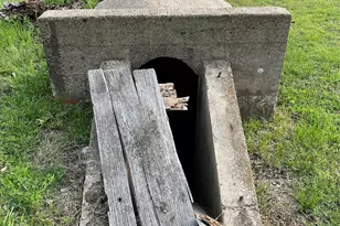 320 S Manson St, Wolfe City, TX 75496 - Photo 30