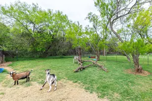 3273 FM 89, Buffalo Gap, TX 79508 - Photo 6