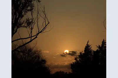 6 Ac ~ Tbd County Road 4870, Leonard, TX 75452 - Photo 24