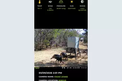 16811 County Road 107, Morgan Mill, TX 76463 - Photo 36