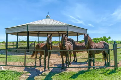 2201 E Fm 813, Ennis, TX 75119 - Photo 10