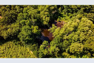 1710 An County Road 463, Montalba, TX 75853 - Photo 28