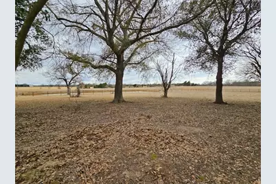 1710 An County Road 463, Montalba, TX 75853 - Photo 30