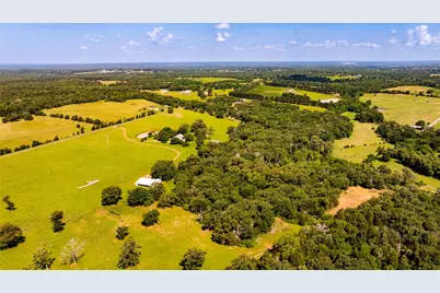 1710 An County Road 463, Montalba, TX 75853 - Photo 26