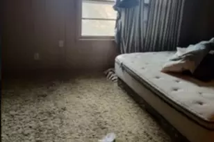 4010 Karnack Hwy, Marshall, TX 75672 - Photo 2