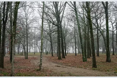 7375 Open Water Point, Quinlan, TX 75474 - Photo 14