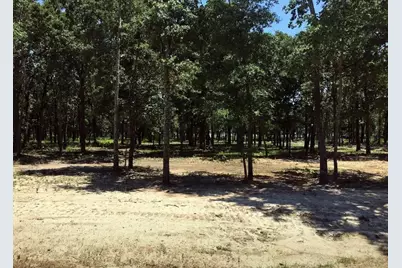 7375 Open Water Point, Quinlan, TX 75474 - Photo 16