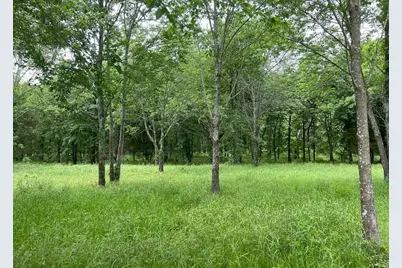 7375 Open Water Point, Quinlan, TX 75474 - Photo 6