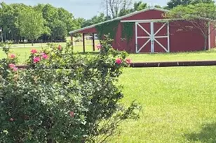 1307 Brent, Terrell, TX 75160 - Photo 2