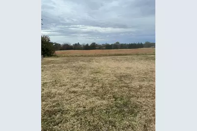 1130 E Ohio Street, Van, TX 75790 - Photo 18