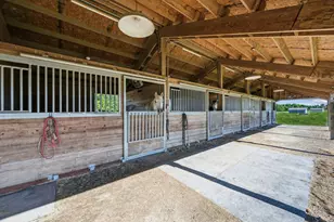 5905 Cr-1093, Celeste, TX 75423 - Photo 10